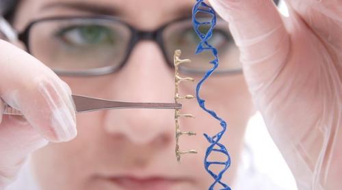 Prima licenţă de modificare genetică a embrionilor umani în Marea Britanie