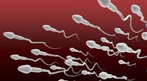 O mână de ajutor dată bărbaților: bebeluși concepuți din spermă obținută în... laborator!