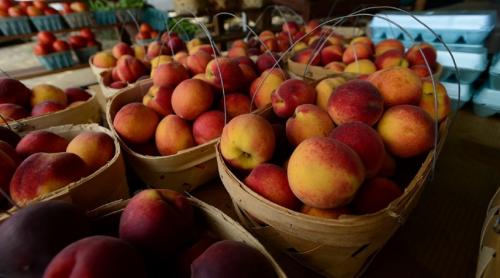 Tone de caise și nectarine turceşti, cu reziduuri de pesticide peste limita admisă