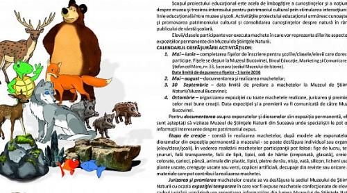 Proiect educațional de creativitate la Suceava: Muzeul de Ştiinţele Naturii în imaginaţia copiilor