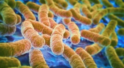 Italia: Descoperirea unei bacterii care rezistă la toate antibioticele existente în prezent
