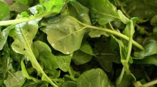 E.coli: De ce trebuie să spălăm salata, fructele, legumele chiar dacă sunt ambalate