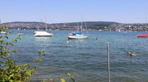 Surfer român, decedat în condiții suspecte în lacul Zurich