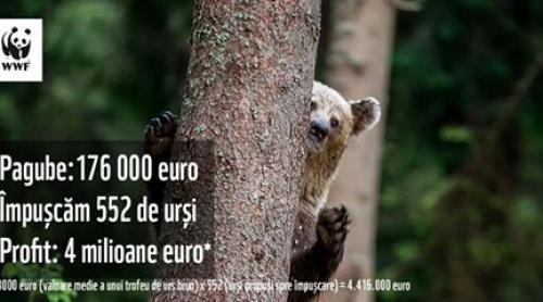 Cum răspunde Ministerul Mediului la acuzaţiiile de măcel din pădurile României