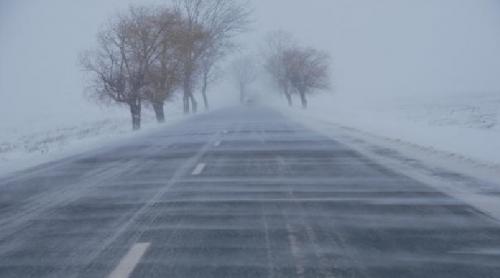 Viscolul și ninsorile fac prăpăd în țară! Copaci căzuți, stâlpi rupți, localități în beznă, drumuri blocate, zeci de oameni izolați