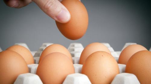 Aproape 1,5 milioane de ouă, din care 500.000 cu Salmonella, retrase din galantare  