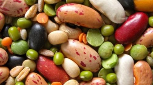 19 vegetale, cele mai bogate în proteine!