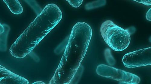  Bacteria, rezistentă la toate antibioticele, atacă în afara spitalelor!