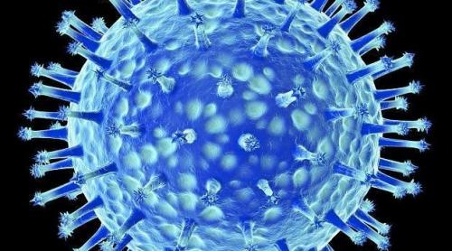 Gripa aviară: Mutaţia unui virus care provoacă îngrijorare!