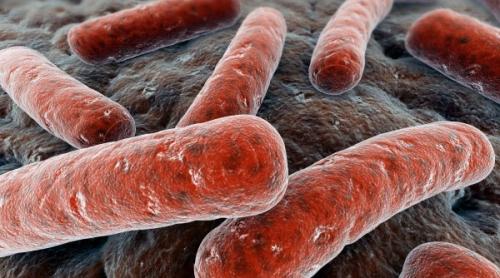 Tuberculoză: Un nou vaccin mai eficient ca BCG!