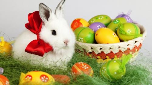 Cum s-a transformat Paştele într-o sărbătoare cu iepuraşi coloraţi şi ouă de ciocolată