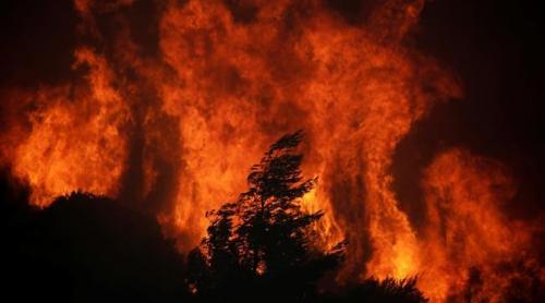 Grecia: Incendii uriaşe pe coastele din apropierea Atenei