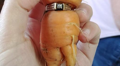 Şi-a găsit inelul de logodnă după 13 ani, într-un morcov