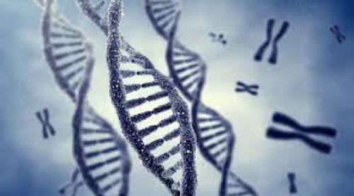 Premieră mondială: Operaţie pe ADN pentru vindecarea unor boli 