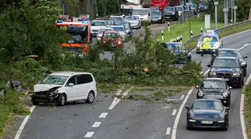 Furtună devastatoare în Germania: Șapte persoane ucise de arbori 
