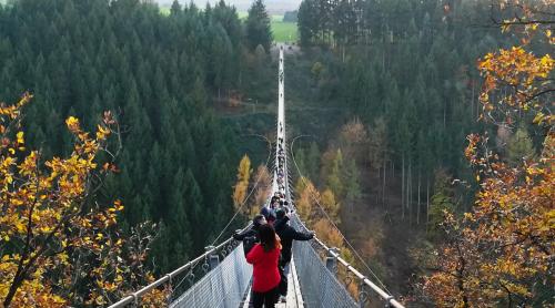 Povestea podului. Cum a devenit o comună din Germania atracţie turistică de top, cu bani din energii regenerabile