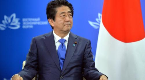 Cu cine se mai întâlneşte premierul Japoniei la Bucureşti?
