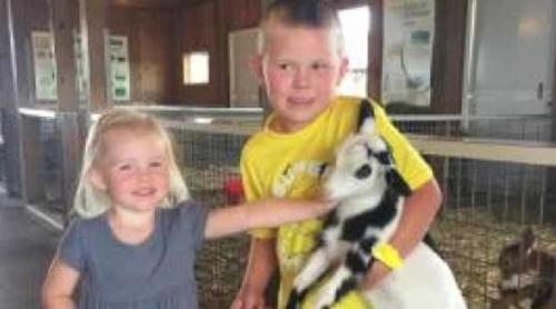 Un copil a decedat și altul e în stare critică după ce au mângâiat animale la zoo