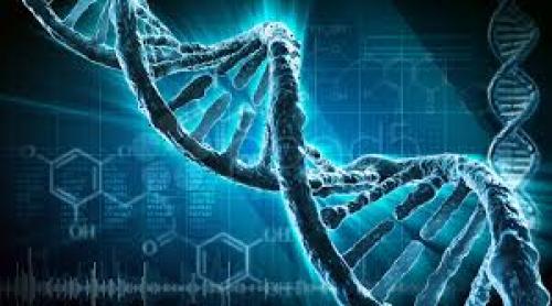 Poate spune un simplu test ADN cât de mult vom trăi?