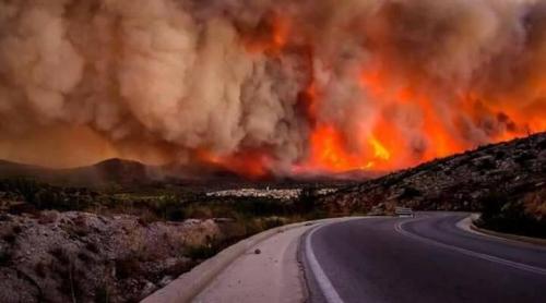 Cum pot fi ajutate victimele incendiilor devastatoare din Grecia. Diaspora greacă se mobilizează