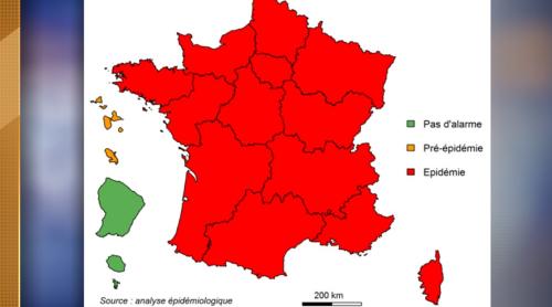 Epidemie de gripă în întreaga Franță