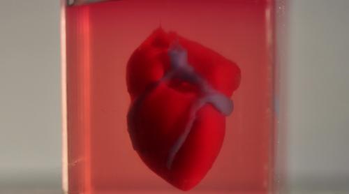 REVOLUȚIONAR. Cercetătorii israelieni au printat în 3D o inimă, folosind teșut uman