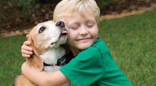 Câinii au capacitatea de a reduce stresul copiilor