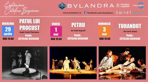 Teatrul Bulandra: spectacolele online continuă