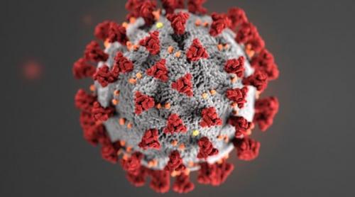 Institutul Național de Sănătăte Publică a dat publicității raportul săptămânal privind evoluția pandemiei de coronavirus în România