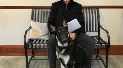 Joe Biden, iubitor de animale, aduce câinii înapoi la Casa Albă. Major, unul dintre „paznici”, a fost salvat de la un adăpost 