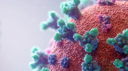 Coronavirusul, prezent în Statele Unite din decembrie 2019! Studiu al Institutelor Naţionale de Sănătate din SUA