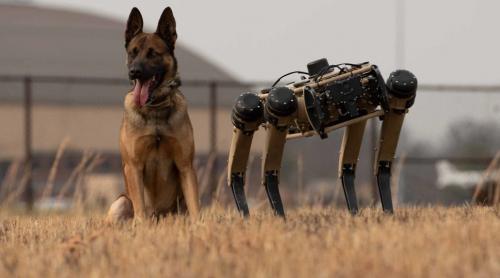 SUA vrea sa folosească câini robot pentru a urmări migranții