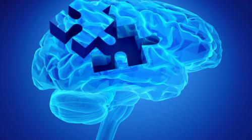 Creierul uman nu „încetinește” decât după 60 de ani