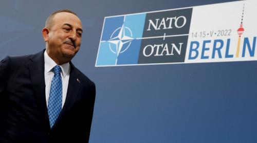 Turcia strică petrecerea viitoarei aderări a Finlandei și Suediei la NATO