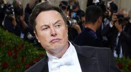 Fiica lui Elon Musk vrea să rupă toate legăturile cu celebrul ei tată