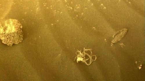Fotografia NASA pe Marte: spaghete sau sfoară? 