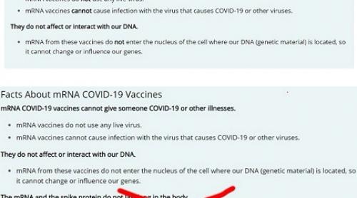 Covid19: CDC pare să fi șters de pe site-ul lor afirmația că „ARNm și proteina spike nu ramân mult în organism” 