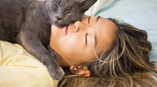 Este sănătos să dormi cu pisica sau câinele?