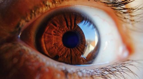  MEDICINA VIITORULUI. Ce boli neurodegenerative pot fi identificate din retină cu ajutorul inteligenței artificiale