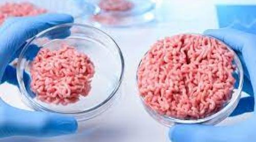 Viitorul sună bine: SUA aprobă spre consum carnea obținută în laborator