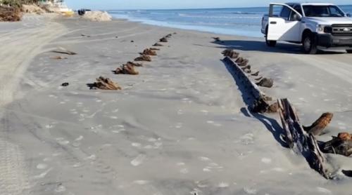 O structură misterioasă a fost descoperită sub nisip pe o plajă din Florida