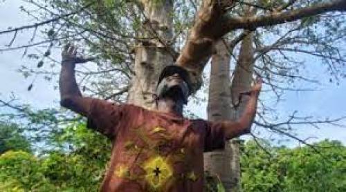 O misiune pentru a salva o țară: un bărbat vrea să planteze 5 milioane de copaci