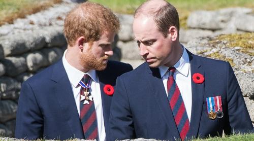 Prințul Harry fără milă despre chelia fratelui său William: „Este alarmant”