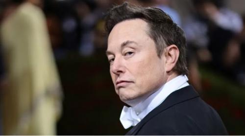 Elon Musk: ”Italia moare”. Avertismentul miliardarului cu privire la soarta omenirii