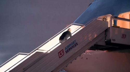 Joe Biden cade din nou pe scările Air Force One (video)