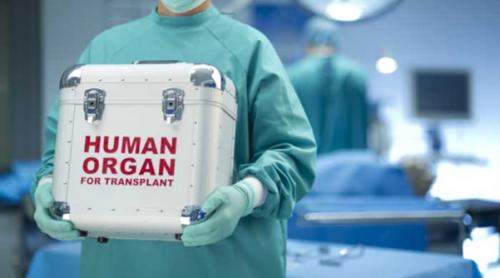 Inteligenta artificială revoluționează medicina: va selecta organele donatoare pentru transplant în locul doctorilor având acuratețe sporită
