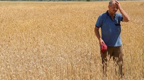 Piața cerealelor a fost destabilizată de tonele de cereale ucrainene: "nu sunt micii fermieri ucraineni care exportă, ci fermele mari aparținând capitalului străin din Ucraina"