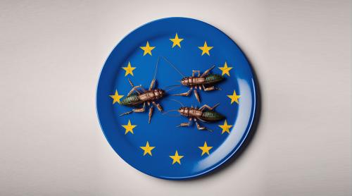"Impulsul pentru consumul de insecte este un test de conformitate deoarece politicienii știu că atunci când controlează alimentele, controlează oamenii", spune o activistă din Olanda