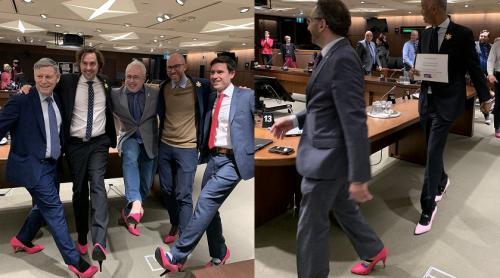 Canada: Deputații progresiști defilează purtând pantofi roz cu tocuri înalte pentru a atrage atenția cu privire la violența împotriva femeilor (video)