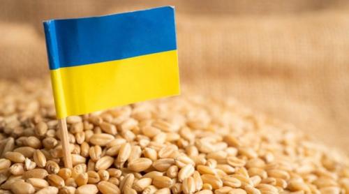 Cehia spune ca grâul ucrainean este de bună calitate si nu interzice importurile de cereale